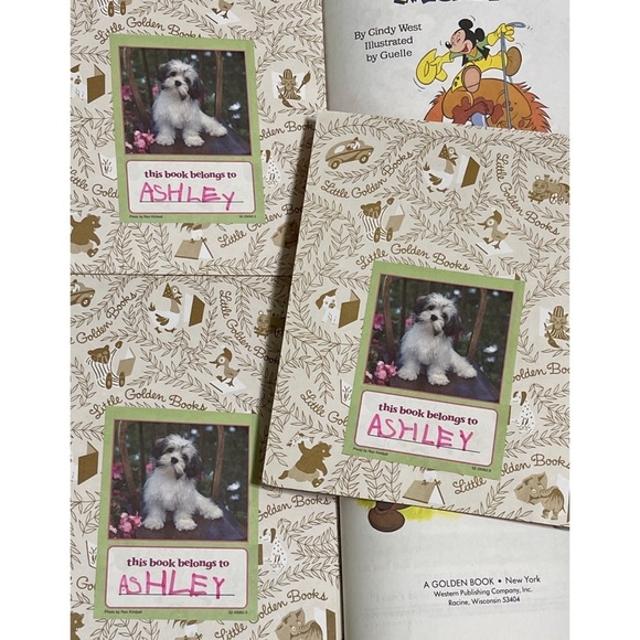 Mickey Mouse & Friends 12 Little Golden Books Set (1990) - Picture 9 of 10